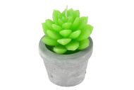 Svíčka kaktus v sádrovém květináčku (9cm) - Mix barev, 1ks